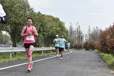 2024金东绿道·浙江马拉松团体赛