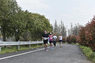 2024金东绿道·浙江马拉松团体赛