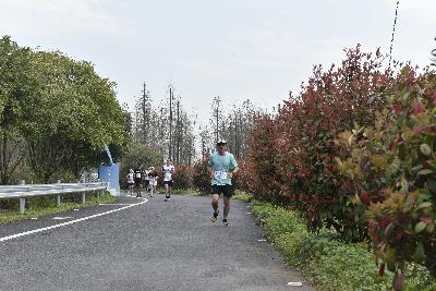 2024金东绿道·浙江马拉松团体赛