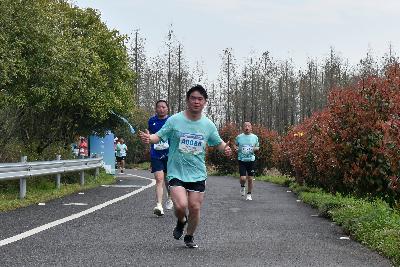 2024金东绿道·浙江马拉松团体赛