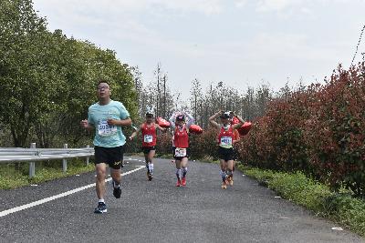 2024金东绿道·浙江马拉松团体赛
