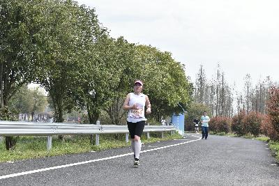 2024金东绿道·浙江马拉松团体赛