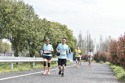 2024金东绿道·浙江马拉松团体赛