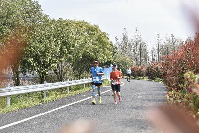 2024金东绿道·浙江马拉松团体赛