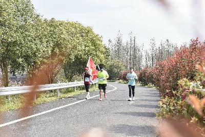 2024金东绿道·浙江马拉松团体赛