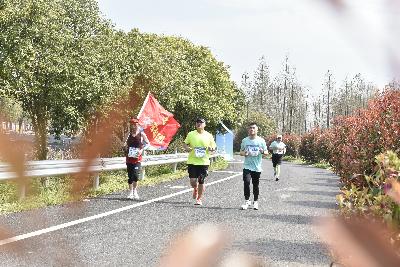 2024金东绿道·浙江马拉松团体赛