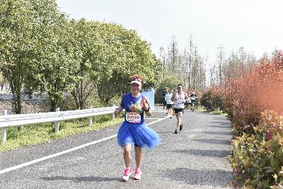 2024金东绿道·浙江马拉松团体赛