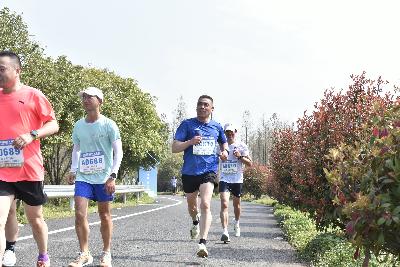 2024金东绿道·浙江马拉松团体赛