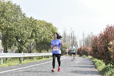 2024金东绿道·浙江马拉松团体赛