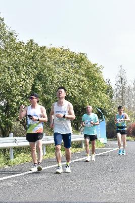 2024金东绿道·浙江马拉松团体赛