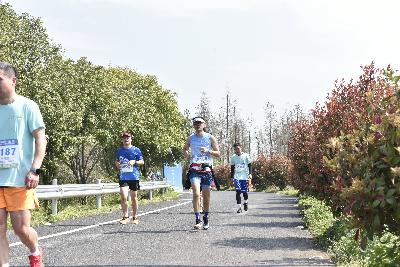 2024金东绿道·浙江马拉松团体赛