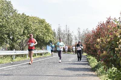 2024金东绿道·浙江马拉松团体赛