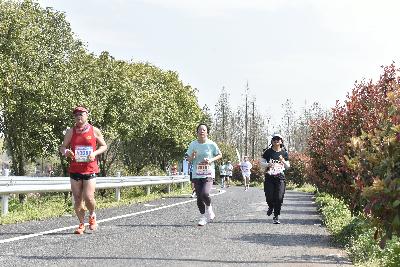 2024金东绿道·浙江马拉松团体赛