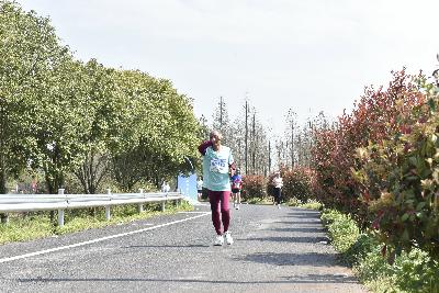 2024金东绿道·浙江马拉松团体赛