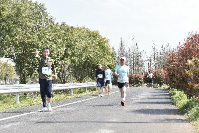 2024金东绿道·浙江马拉松团体赛