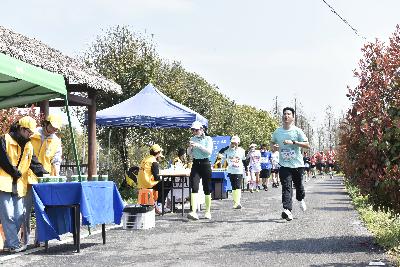2024金东绿道·浙江马拉松团体赛