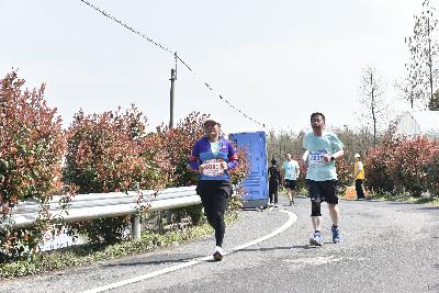 2024金东绿道·浙江马拉松团体赛