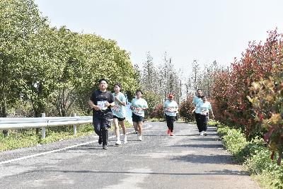 2024金东绿道·浙江马拉松团体赛