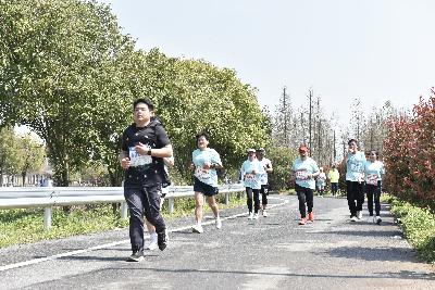 2024金东绿道·浙江马拉松团体赛
