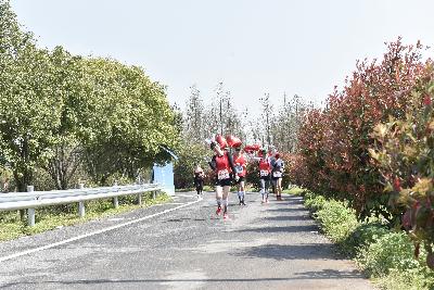 2024金东绿道·浙江马拉松团体赛