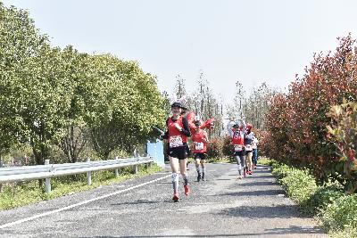 2024金东绿道·浙江马拉松团体赛