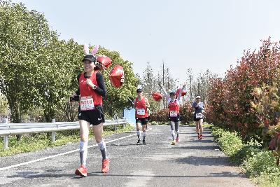 2024金东绿道·浙江马拉松团体赛