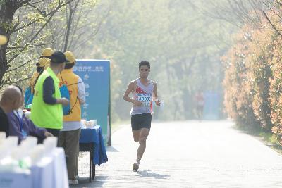 2024金东绿道·浙江马拉松团体赛