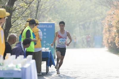 2024金东绿道·浙江马拉松团体赛