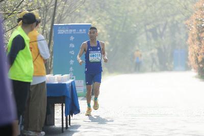 2024金东绿道·浙江马拉松团体赛