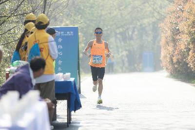 2024金东绿道·浙江马拉松团体赛