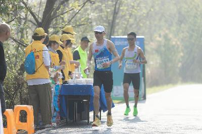 2024金东绿道·浙江马拉松团体赛