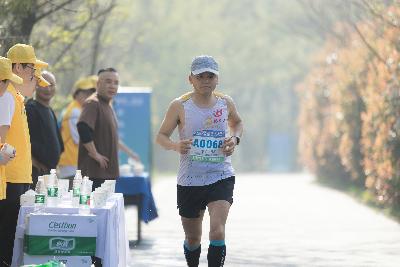 2024金东绿道·浙江马拉松团体赛