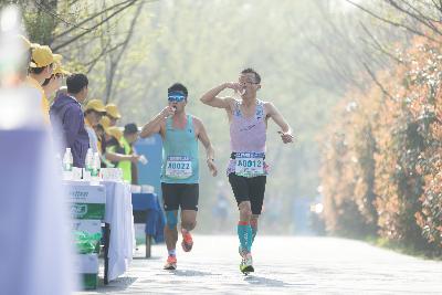 2024金东绿道·浙江马拉松团体赛