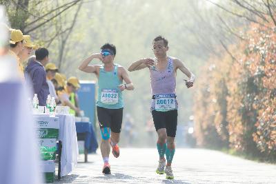 2024金东绿道·浙江马拉松团体赛