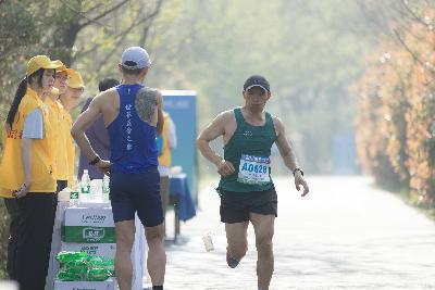 2024金东绿道·浙江马拉松团体赛