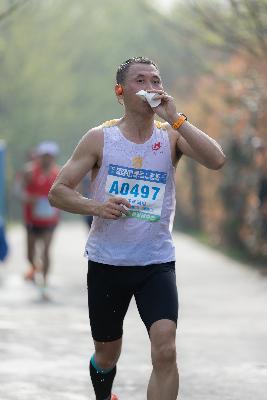 2024金东绿道·浙江马拉松团体赛