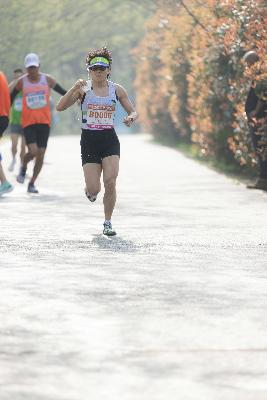 2024金东绿道·浙江马拉松团体赛