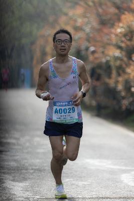 2024金东绿道·浙江马拉松团体赛