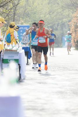 2024金东绿道·浙江马拉松团体赛