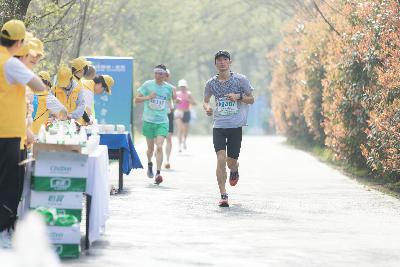 2024金东绿道·浙江马拉松团体赛