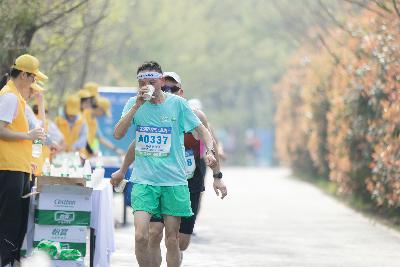 2024金东绿道·浙江马拉松团体赛