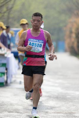 2024金东绿道·浙江马拉松团体赛