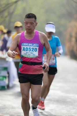 2024金东绿道·浙江马拉松团体赛