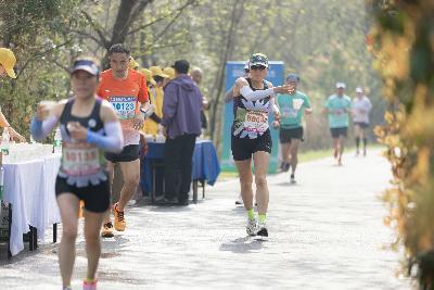 2024金东绿道·浙江马拉松团体赛