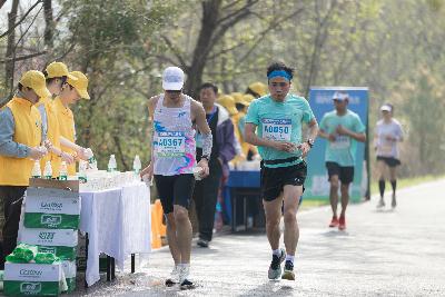 2024金东绿道·浙江马拉松团体赛