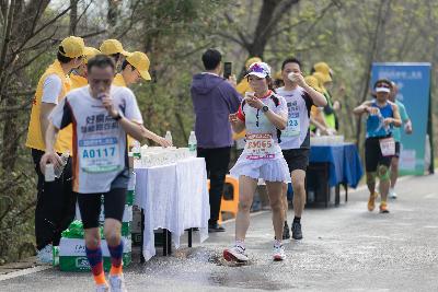 2024金东绿道·浙江马拉松团体赛