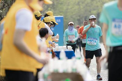 2024金东绿道·浙江马拉松团体赛