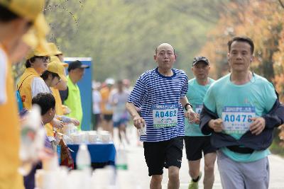 2024金东绿道·浙江马拉松团体赛