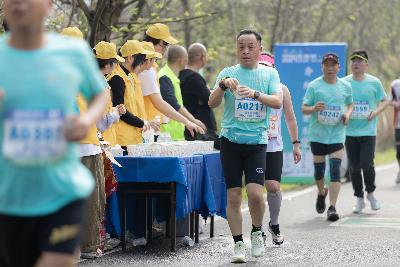 2024金东绿道·浙江马拉松团体赛