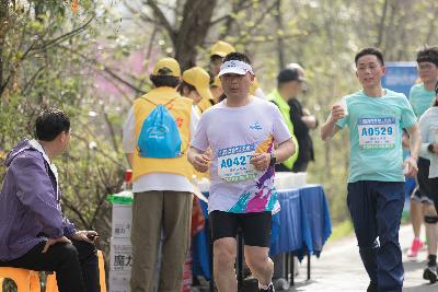 2024金东绿道·浙江马拉松团体赛